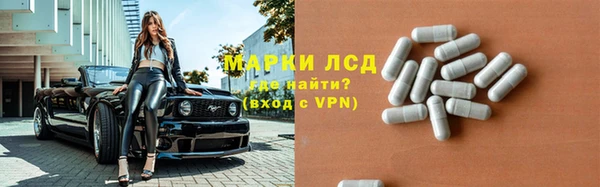 спайс Алзамай