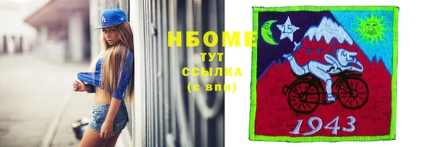 СК Алексин