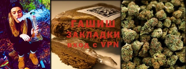 СК Алексин