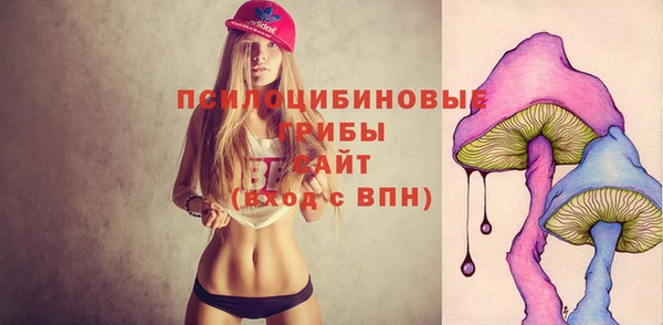 apvp Медногорск