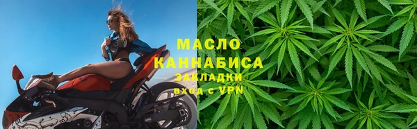 СК Алексин