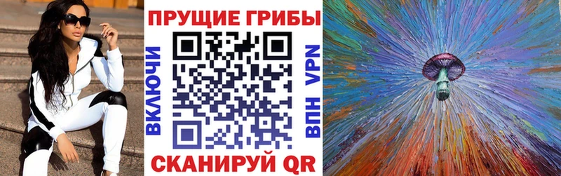 Галлюциногенные грибы мухоморы купить Павловская
